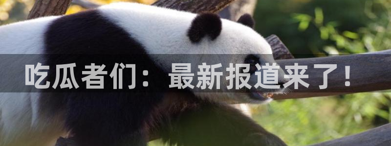 网络黑料事件始末