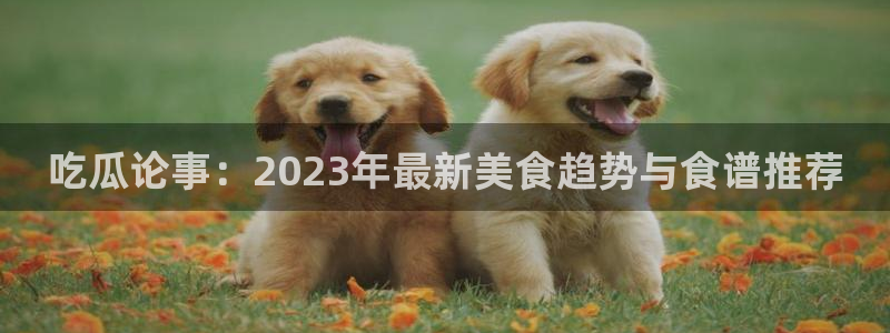 网红黑料真伪核验