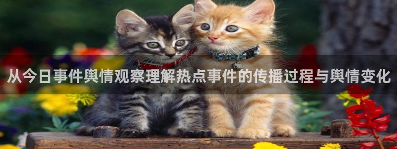 黑料信息汇总