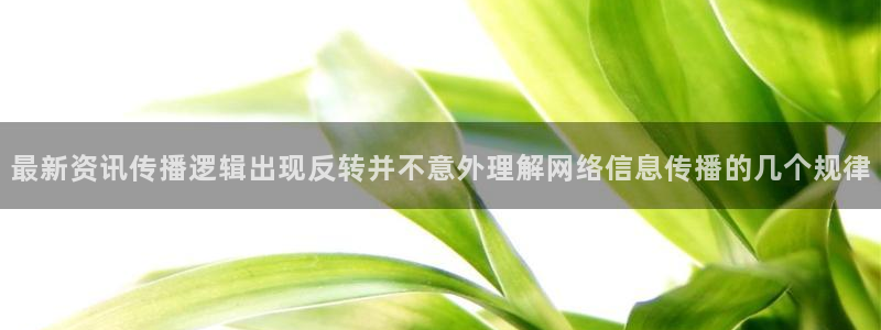 热门黑料完整时间线