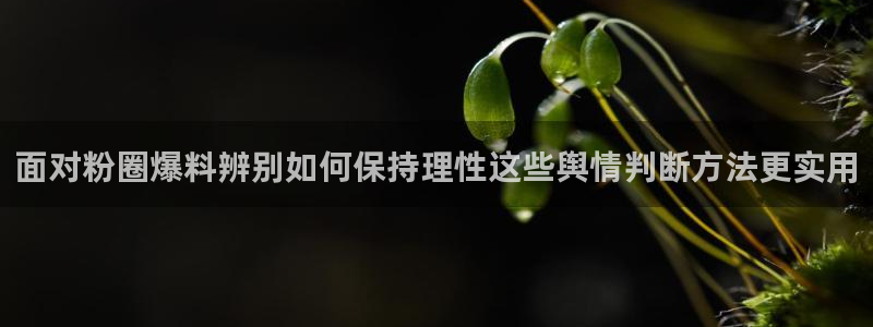 职场黑料今日更新