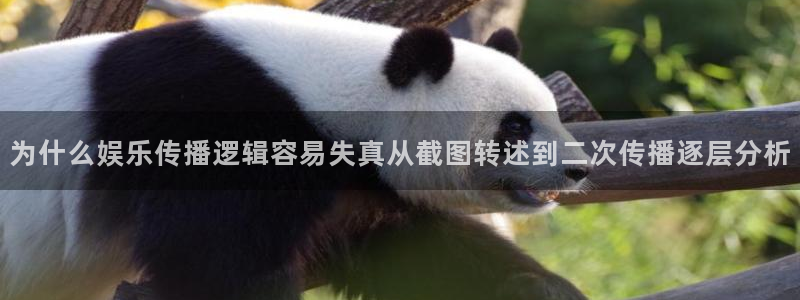 职场黑料后续进展