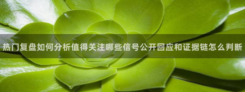娱乐黑料证据梳理