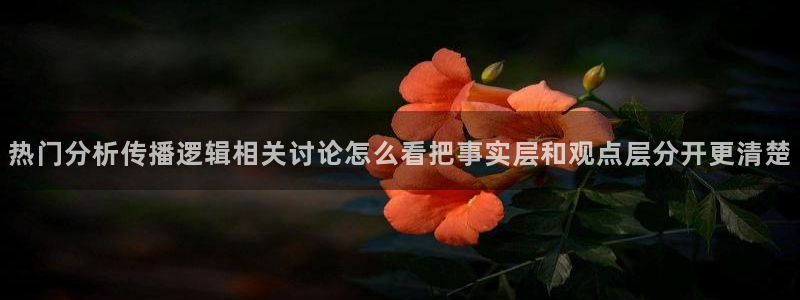 网络黑料信息汇总