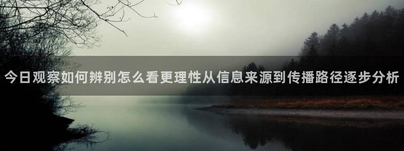 网红黑料信息汇总