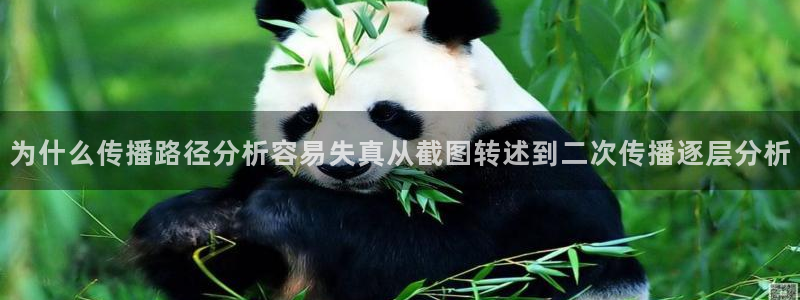 明星黑料真伪核验